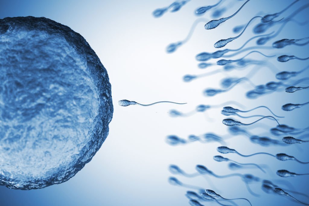 Sağlıklı Sperm Seçimi Nasıl Olmalı?