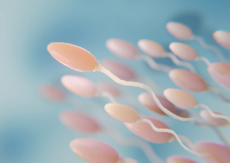 Sperm DNA Hasarını Belirleyen Testler Nelerdir?
